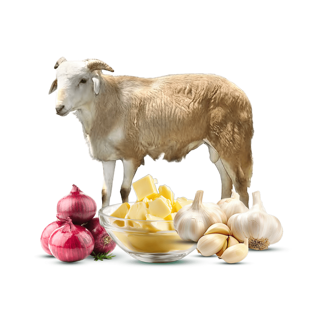 Premium Holiday Bundle